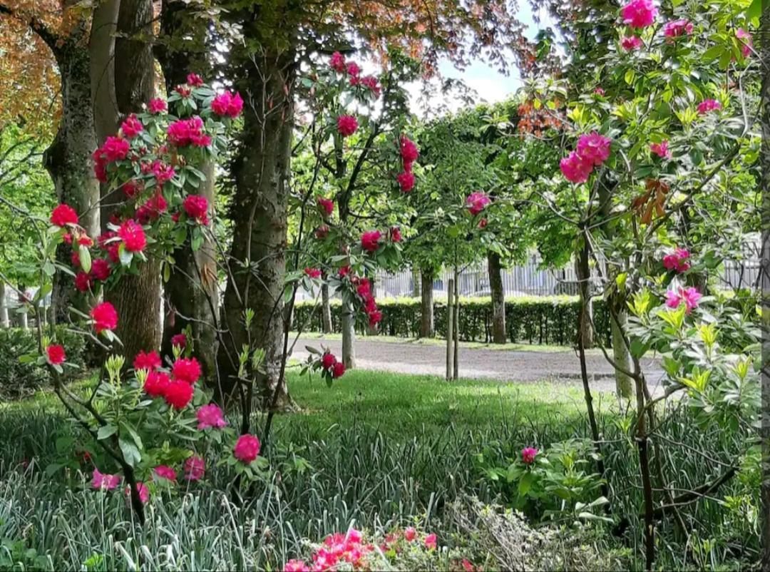 La Romantique Bourges Exterior photo
